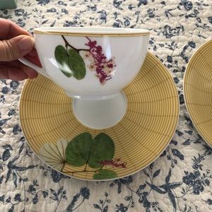 Bernardaud Indien Cup set (2)